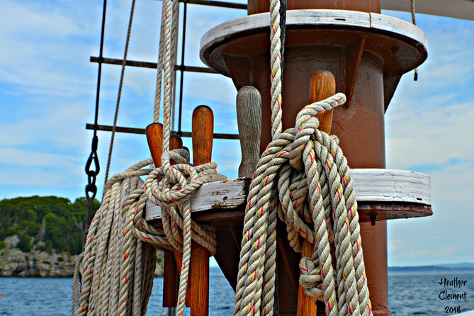 1.5 to 2-Hr Windjammer Sailing Trip in Maine w/ Licensed Captain - Wildlife and the small details of the bay