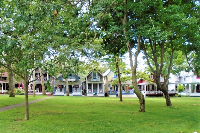 #1 Best 3hr Martha's Vineyard shared Island Tour from Oak Bluffs - Why the 14-person van makes a difference