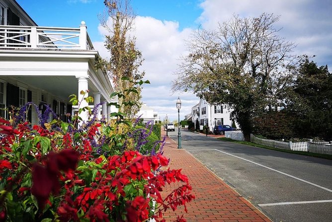 #1 Best 3hr Martha's Vineyard shared Island Tour from Oak Bluffs - Oak Bluffs: carousel, cottages, and island character