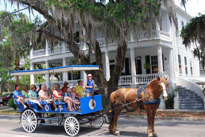 #1 Historical Horse Drawn Carriage Tour - Key points at a glance