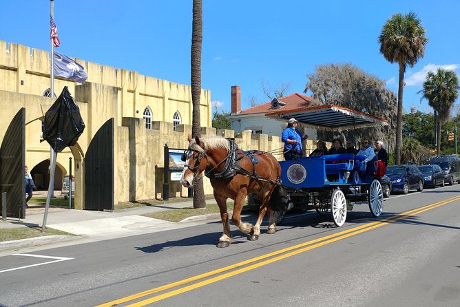 #1 Historical Horse Drawn Carriage Tour - Old Point’s oak trees and historic homes