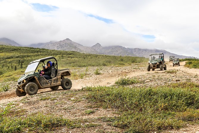 2.5-Hour Denali Wilderness ATV Adventure Tour - Hotel pickup and the start of the outing