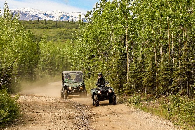 2.5-Hour Denali Wilderness ATV Adventure Tour - Otto Lake, Healy Valley, and the mountain views