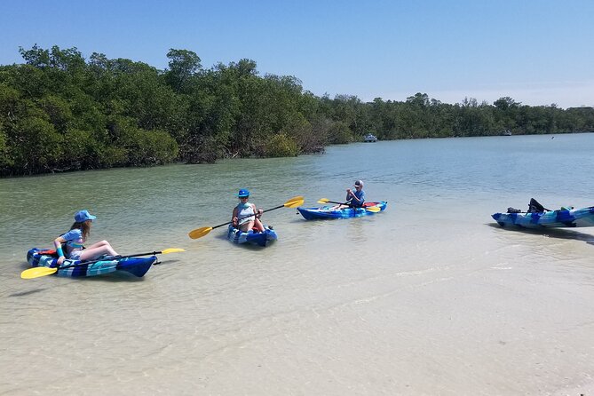 2.5-Hour Guided Group Kayak Tour on Big Hickory Pass - Equipment, kayaks, and the SUP question
