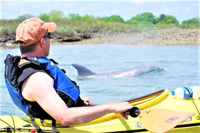 2-Hour Guided Kayak Eco Tour in Charleston - Key points to know before you book