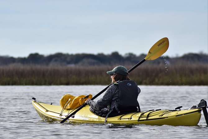 2-Hour Guided Kayak Eco Tour in Charleston - Why the Charleston marsh is worth seeing by kayak