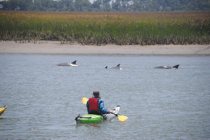 2-Hour Guided Kayak Eco Tour in Charleston - Two hours among tidal creeks and salt marsh