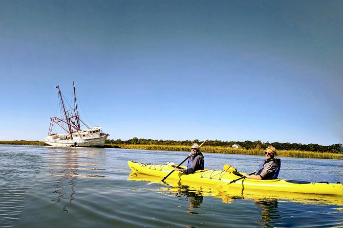 2-Hour Guided Kayak Eco Tour in Charleston - Wildlife sightings depend on tide, weather, and luck