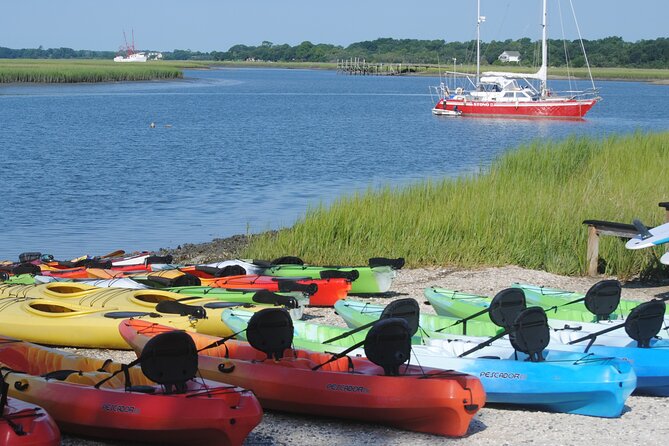 2-Hour Guided Kayak Eco Tour in Charleston - Wind, boat traffic, and the comfort question