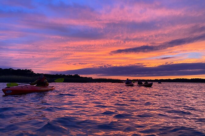 2-Hour Hilton Head Guided Kayak Nature Tour - A calm outing, with real physical effort