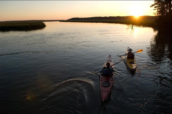 2-Hour Hilton Head Guided Kayak Nature Tour - Who will enjoy this Hilton Head kayak tour?