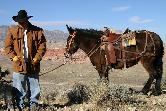 2-Hour Horseback Riding through Red Rock Canyon - Pickup details that can save you trouble