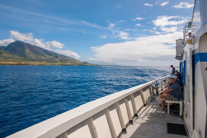 2-Hour Oahu Whale Watch from Ala Wai Harbor, Waikiki - What you might see besides whales