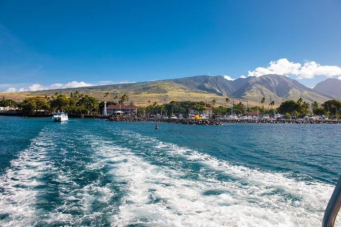 2-Hour Oahu Whale Watch from Ala Wai Harbor, Waikiki - How the crew shapes the experience