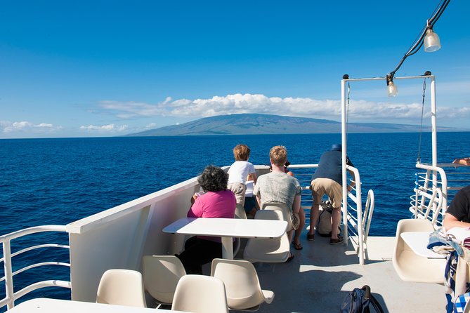 2-Hour Oahu Whale Watch from Ala Wai Harbor, Waikiki - The no-whale question and return options
