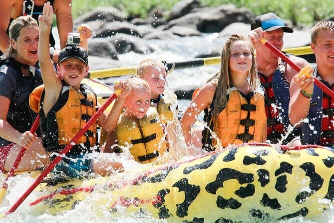 2 Hour Rafting on the Yellowstone River - Rafting the Yellowstone River from Gardiner