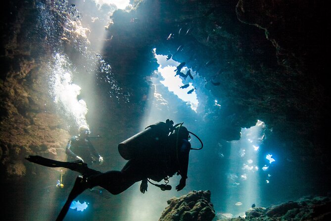 2 Tank Lanai Cathedral Scuba Dive Via Boat for Certified Divers - Key points at a glance