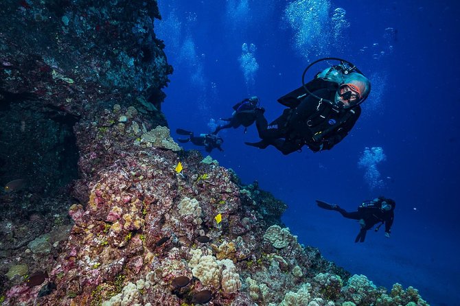 2 Tank Lanai Cathedral Scuba Dive Via Boat for Certified Divers - Why the guides matter