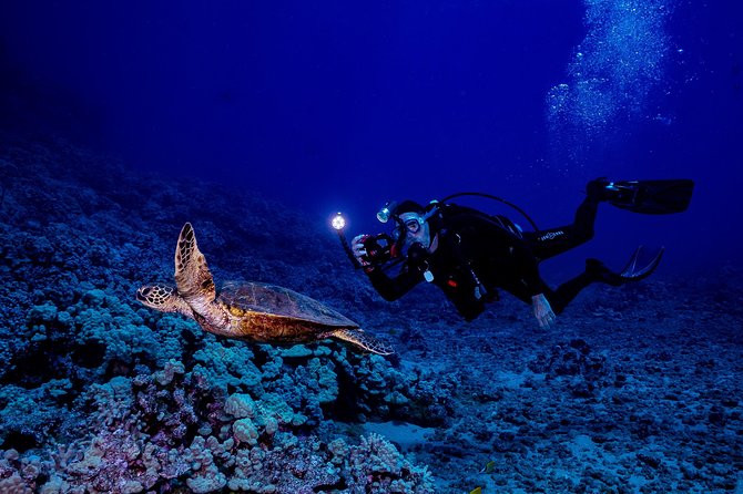 2 Tank Lanai Cathedral Scuba Dive Via Boat for Certified Divers - Price and what you receive for $306.89