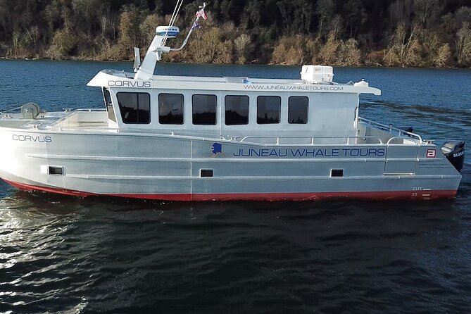 3.5 Hour Crowd-Skipping Whale Tour in Juneau, Alaska - A small boat built for better whale views