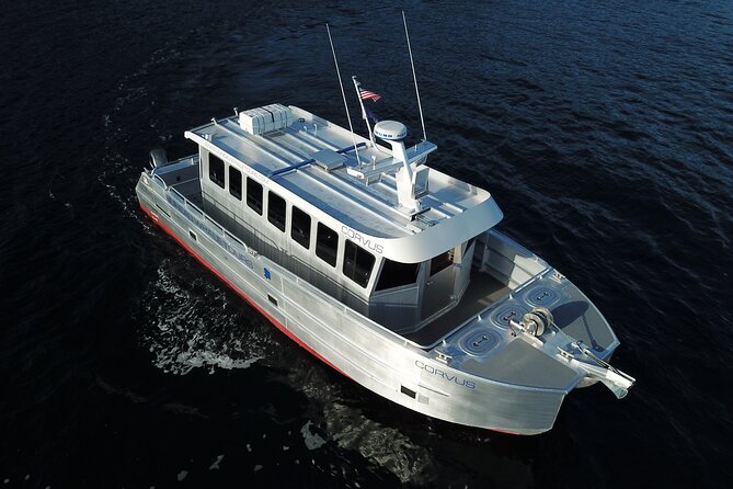 3.5 Hour Crowd-Skipping Whale Tour in Juneau, Alaska - From downtown Juneau to Auke Bay