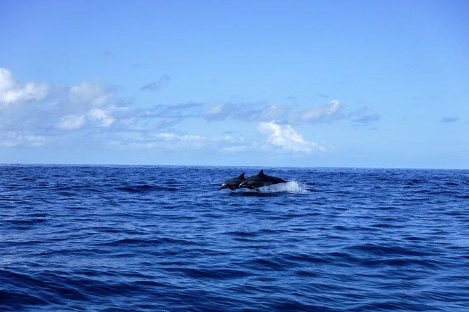 3.5 Hour Kailua-Kona Ocean Kayak and Snorkel Tour - Fitness, age, and practical comfort