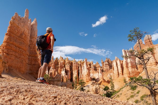 3-Day Tour: Zion, Bryce Canyon, Monument Valley and Grand Canyon - Day three: Painted Desert and the Grand Canyon South Rim