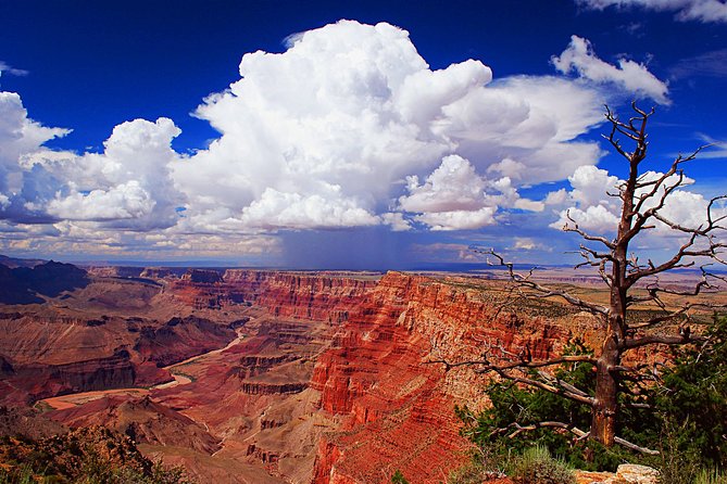 3 Hour Back-Road Safari to Grand Canyon with Entrance Gate By-Pass at 9:30 am - Yavapai Point and the view into the canyon