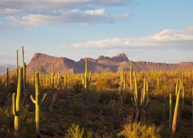 3 Hour Guided TomCar ATV Experience in Sonoran Desert - Key points to know before you go