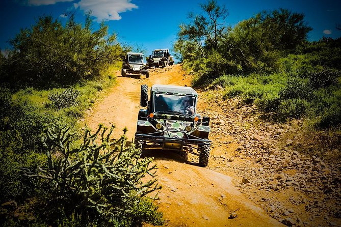 3 Hour Guided TomCar ATV Experience in Sonoran Desert - How the group and vehicles work