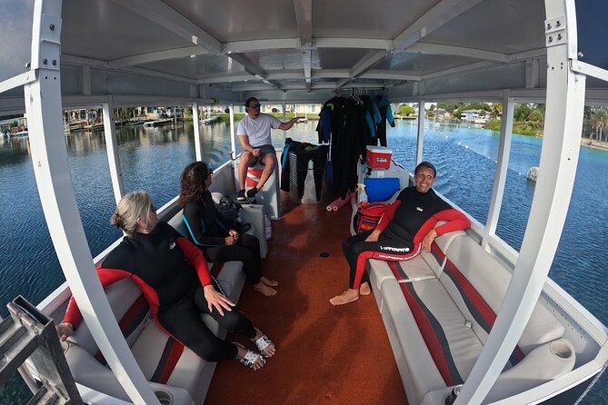 3 Hour Small Group All Inclusive Manatee Swim with free Photo pkg - What the Water May Look Like