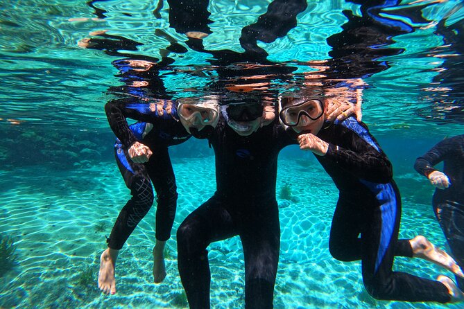 3 hours Manatee Swim Tour in Florida - A good choice for first-time snorkelers