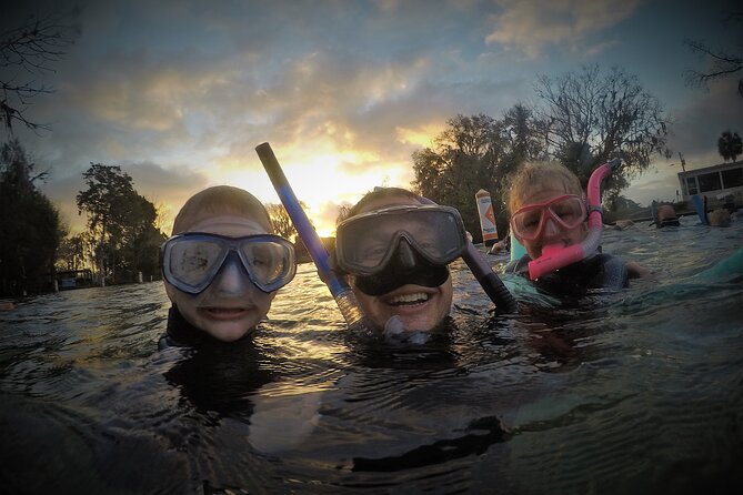 3 hours Manatee Swim Tour in Florida - How respectful wildlife viewing works