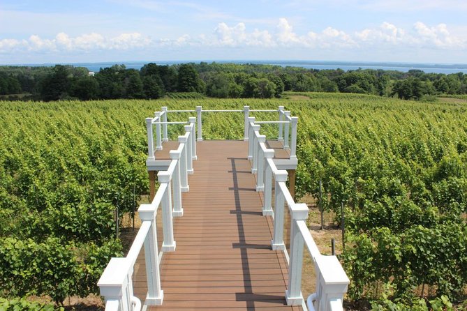 5-Hour Traverse City Wine Tour: 4 Wineries on Old Mission Peninsula - What the $79 price really covers