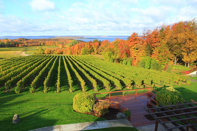 5-Hour Traverse City Wine Tour: 4 Wineries on Old Mission Peninsula - Bowers Harbor, the broadest wine list