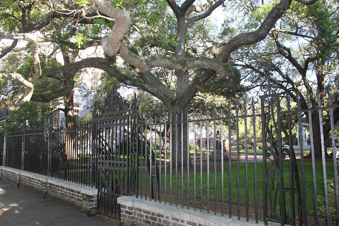 90-Minute Charleston City Sightseeing Bus Tour - Colonial Lake and the quieter side of the city