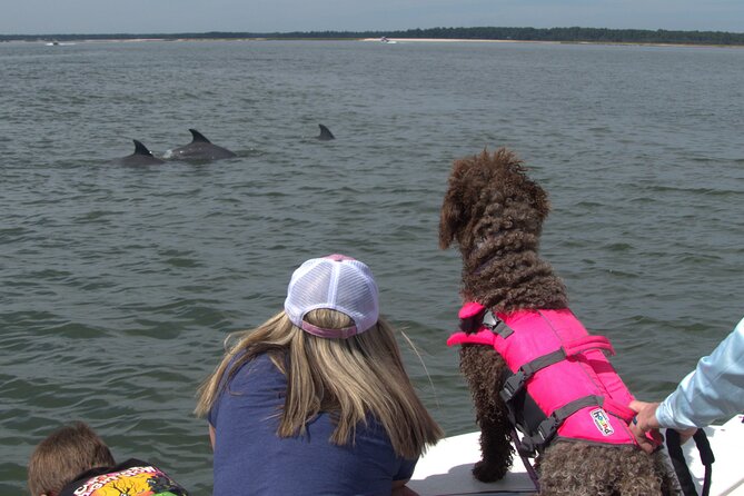 90-Minute Private Dolphin Tour in Hilton Head Island - A private boat makes a big difference