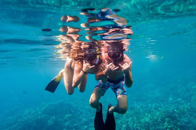 Afternoon Sail & Snorkel to the Captain Cook Monument - Who will enjoy this afternoon best