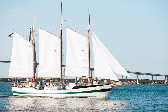 Afternoon Schooner Sightseeing Dolphin Cruise on Charleston Harbor - Dolphins, Pelicans, and the Wildlife Factor