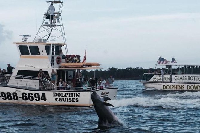 Alabama Gulf Coast Dolphin Cruise - Key points before you book