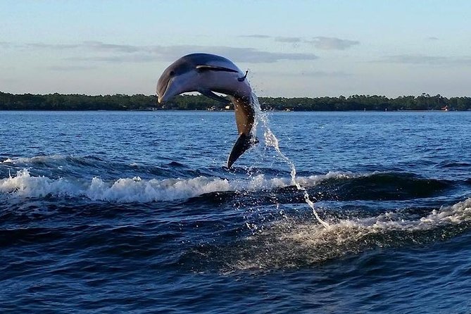 Alabama Gulf Coast Dolphin Cruise - The lower cabin is a real consideration