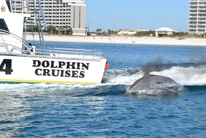 Alabama Gulf Coast Dolphin Cruise - Food, drinks, and comfort on board