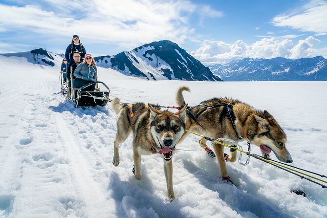 Alaska Helicopter and Glacier Dogsled Tour - ANCHORAGE AREA - Why this tour feels different from a standard Alaska excursion