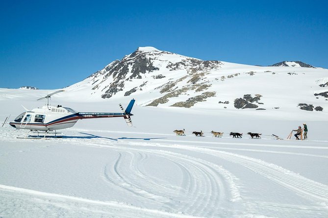 Alaska Helicopter and Glacier Dogsled Tour - ANCHORAGE AREA - Mushing a team of sled dogs