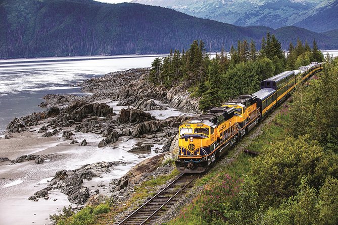 Alaska Railroad Anchorage to Seward Round-Trip Same Day Return - Key points to know before booking