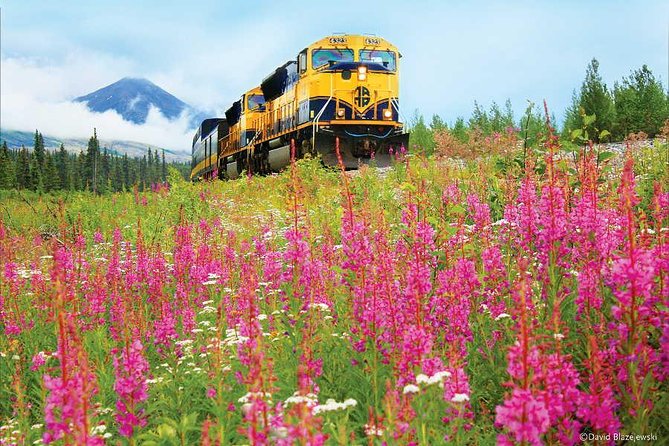 Alaska Railroad Anchorage to Seward Round-Trip Same Day Return - Why the Alaska Railroad is the star of the day
