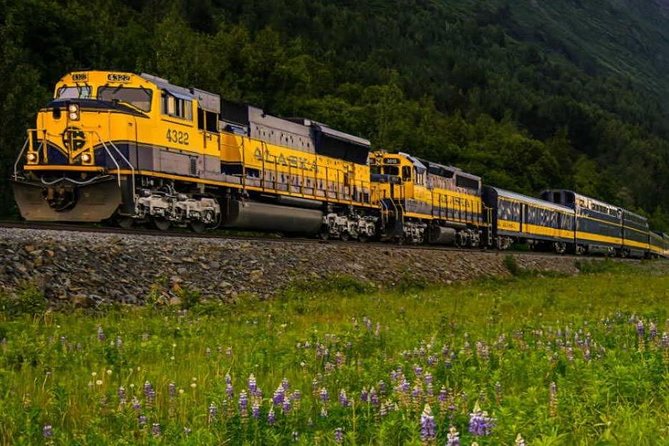 Alaska Railroad Anchorage to Seward Round-Trip Same Day Return - What the $226 price really buys you