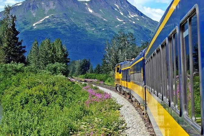 Alaska Railroad Anchorage to Seward Round-Trip Same Day Return - Seating, viewing, and comfort tips