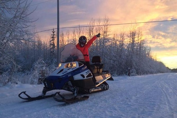 Alaska Snowmobile Adventure Tour - What wildlife you might see along the route