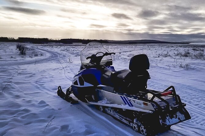 Alaska Snowmobile Adventure Tour - Is the $112.50 price good value?